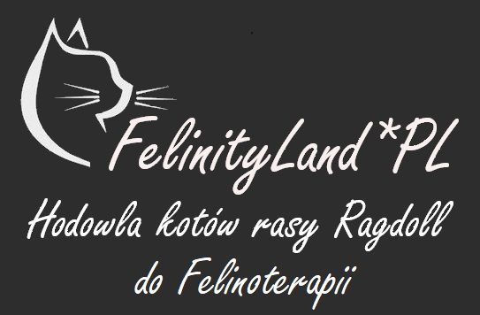 Felinity Land